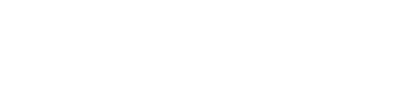 Blindaje ARP
